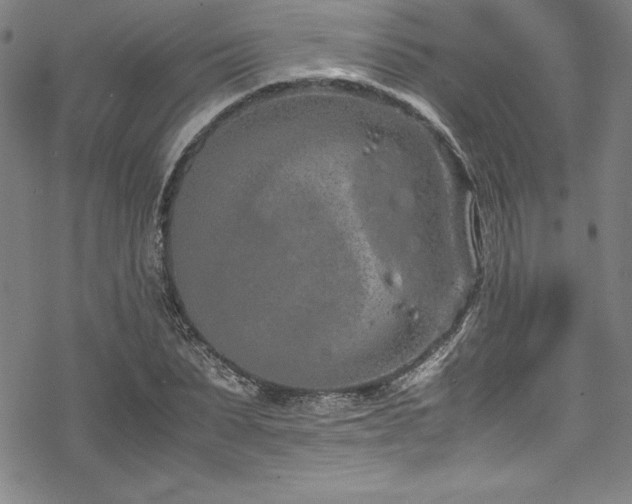 X0000069390879200605121208