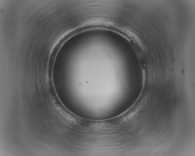 X0000069390880200605121208