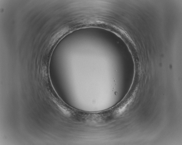 X0000069390881200605121208