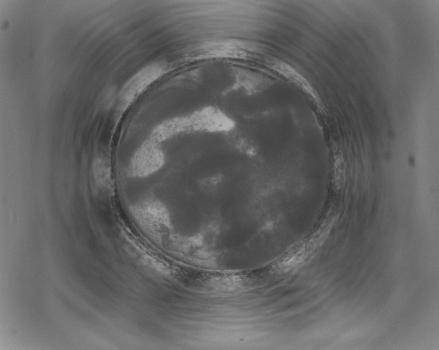 X0000069390882200605121208