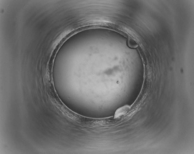 X0000069390883200605121208