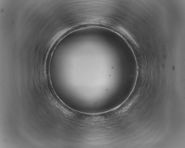 X0000069390884200605121208