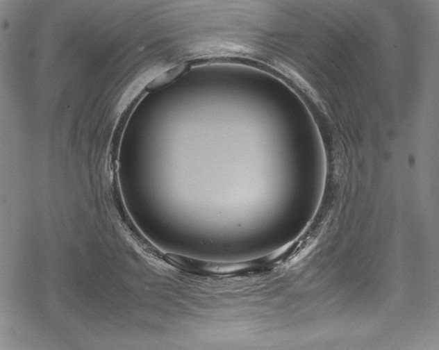 X0000069390885200605121208