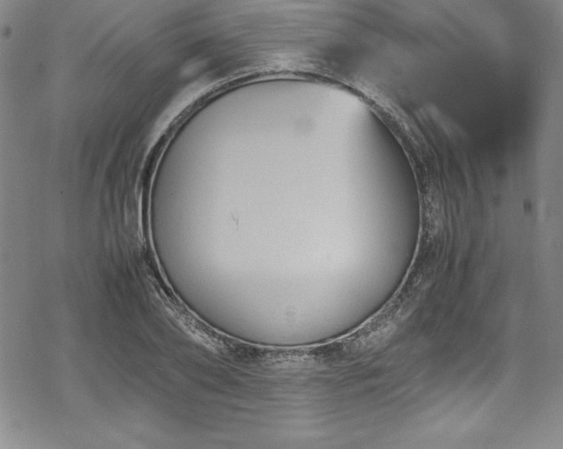 X0000069390886200605121208