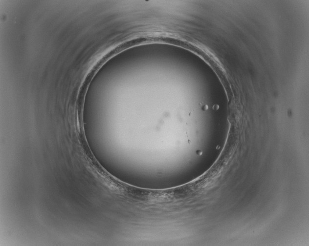 X0000069390887200605121208