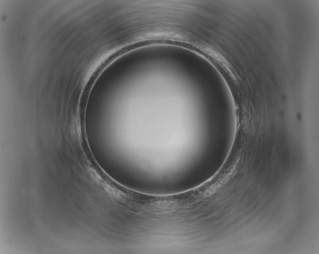 X0000069390888200605121208