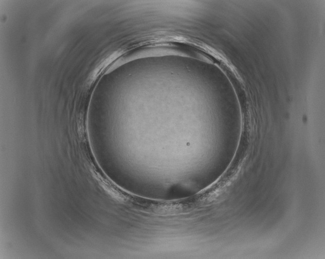 X0000069390889200605121208