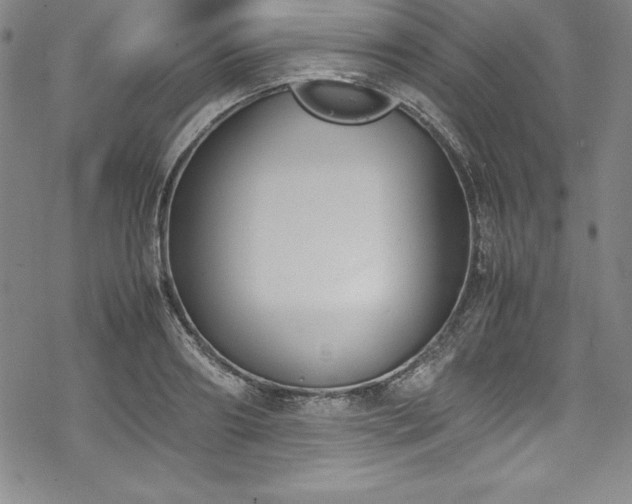 X0000069390890200605121208