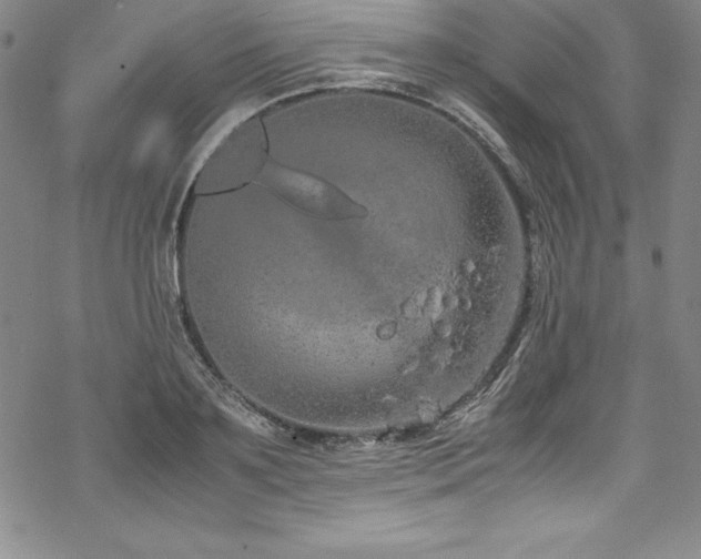 X0000069390891200605121208