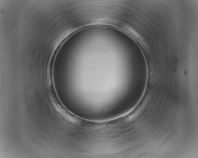 X0000069390892200605121208