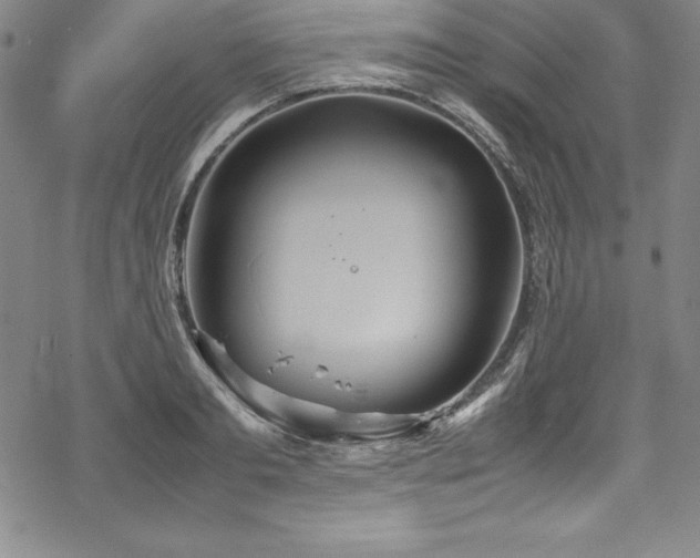 X0000069390893200605121208