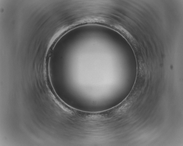 X0000069390894200605121208