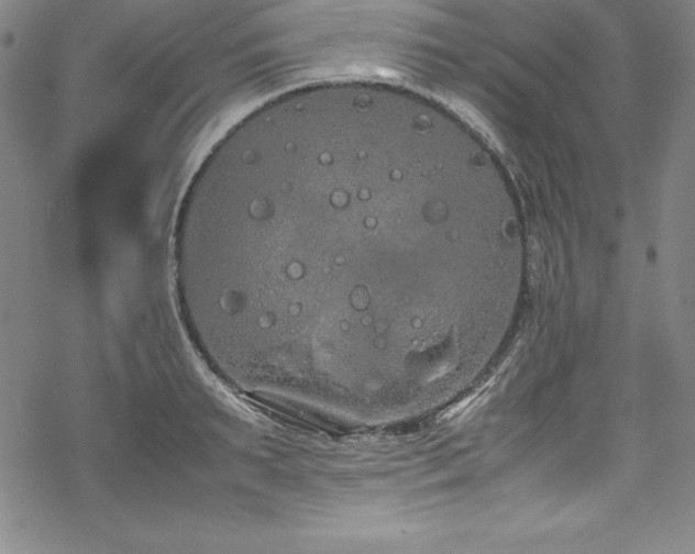 X0000069390895200605121208