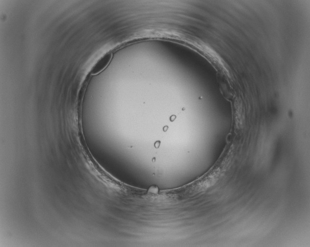 X0000069390896200605121208