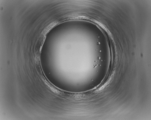 X0000069390897200605121208