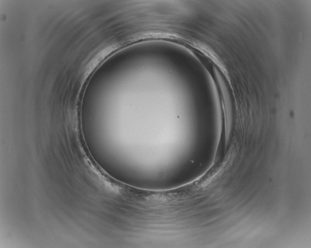 X0000069390898200605121208