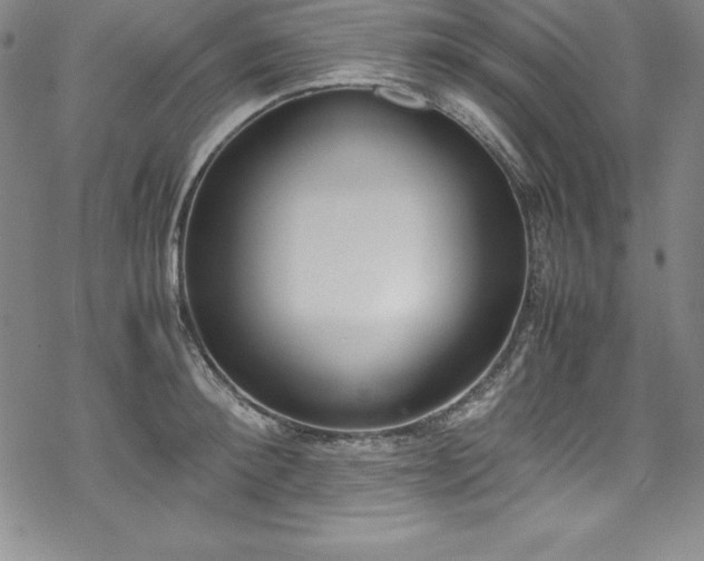 X0000069390900200605121208