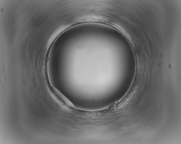 X0000069390901200605121208