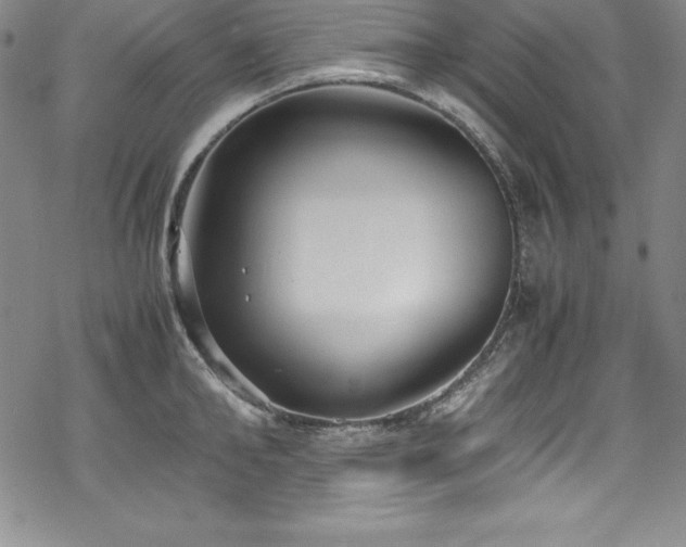 X0000069390902200605121208