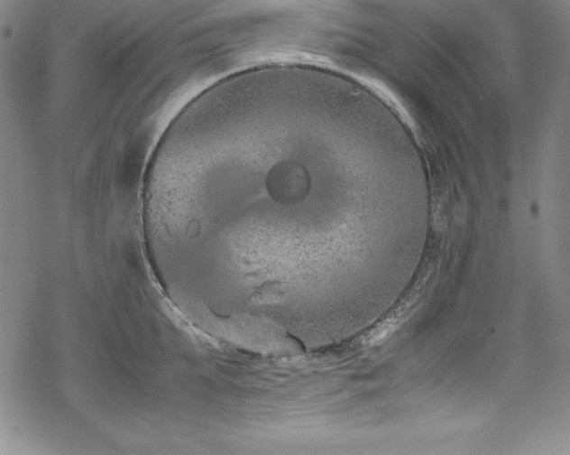 X0000069390903200605121208