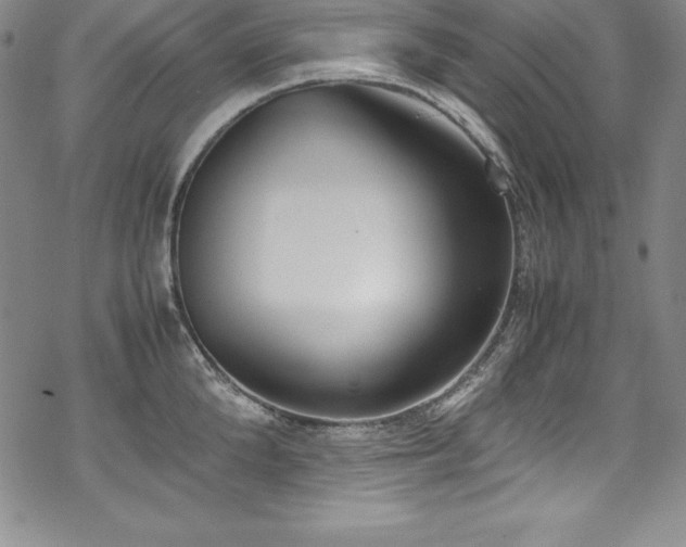 X0000069390904200605121208