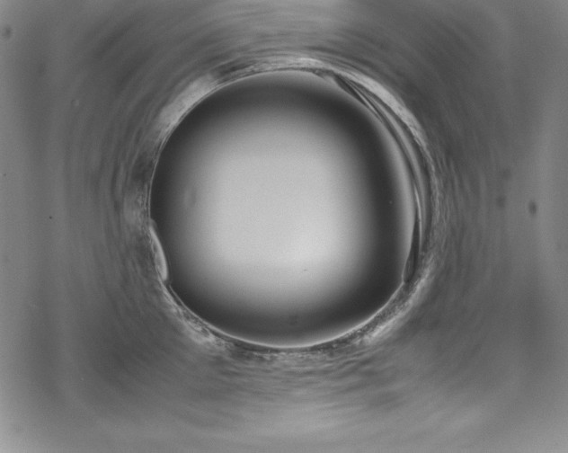 X0000069390905200605121208