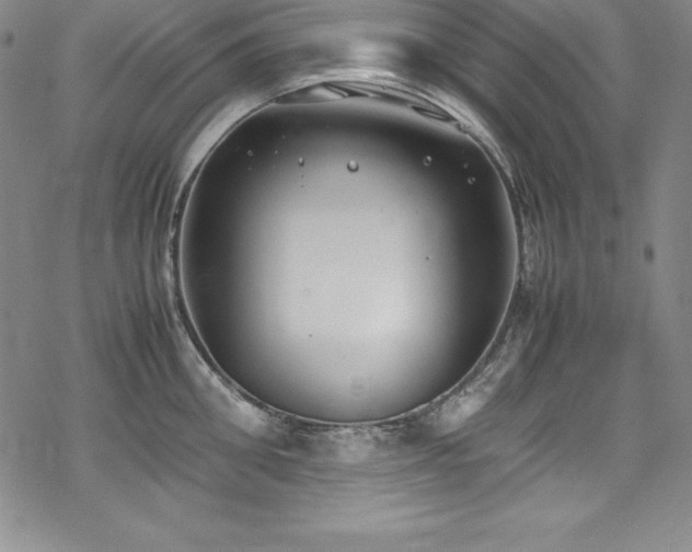 X0000069390906200605121208