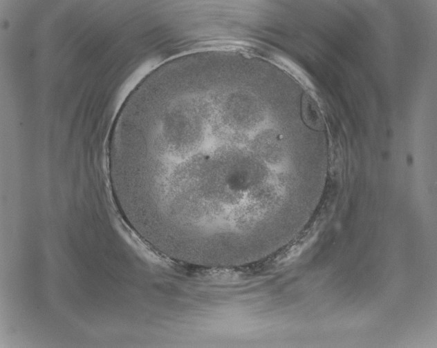 X0000069390907200605121208