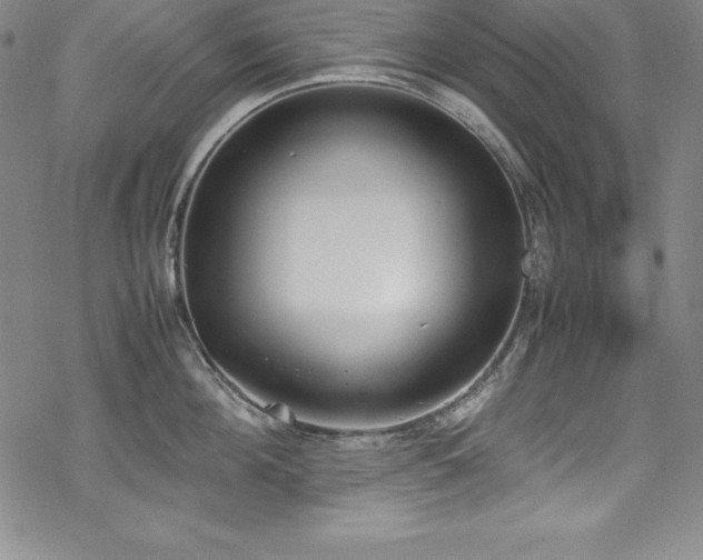 X0000069390908200605121208