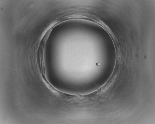 X0000069390909200605121208