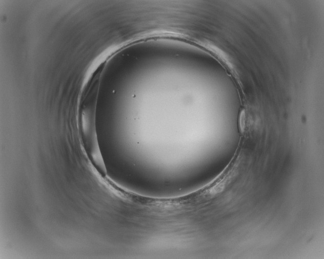 X0000069390910200605121208