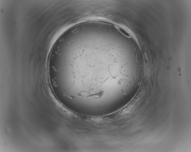 X0000069390911200605121208