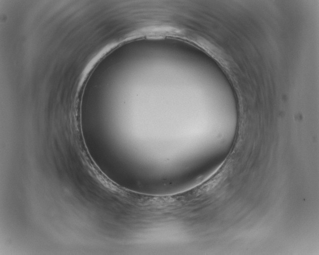 X0000069390912200605121208