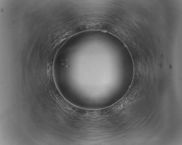 X0000069390914200605121207