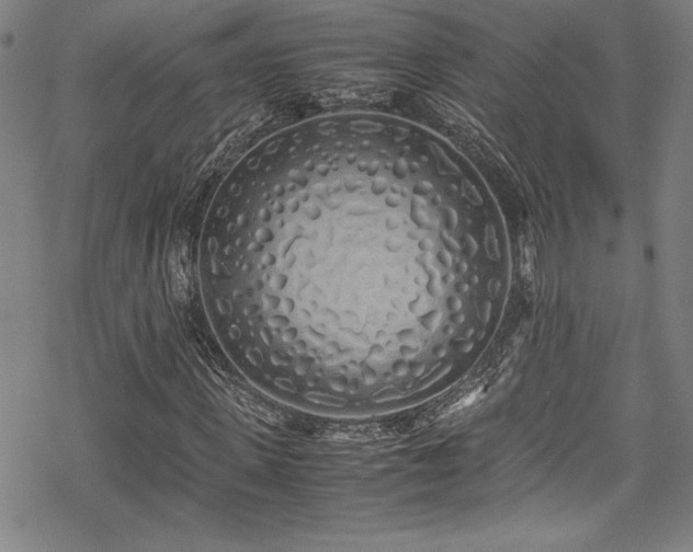 X0000069390915200605121207