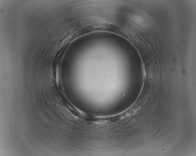 X0000069390916200605121207