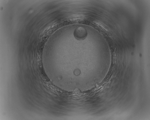 X0000069390917200605121207