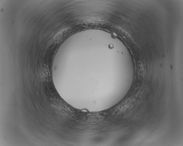 X0000069390918200605121207