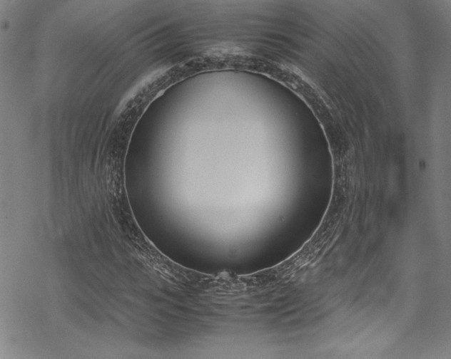 X0000069390919200605121207