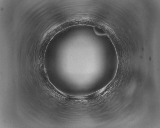 X0000069390920200605121207