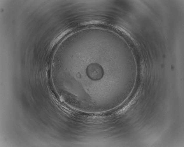 X0000069390921200605121207