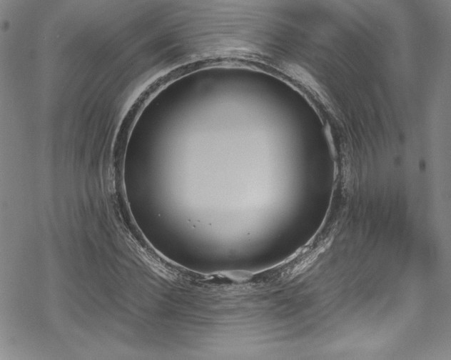 X0000069390924200605121207