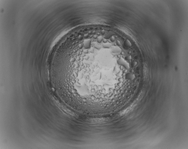 X0000069390925200605121207