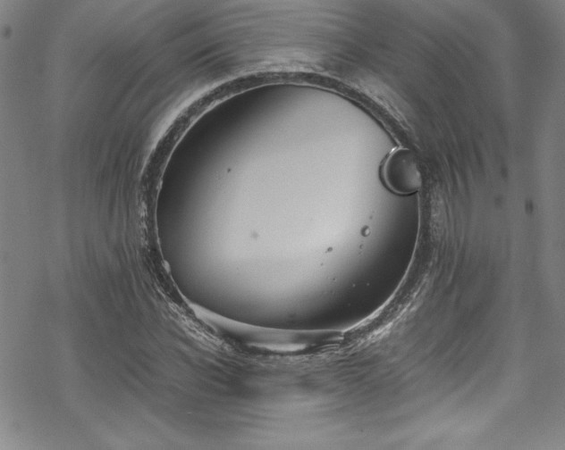 X0000069390926200605121207