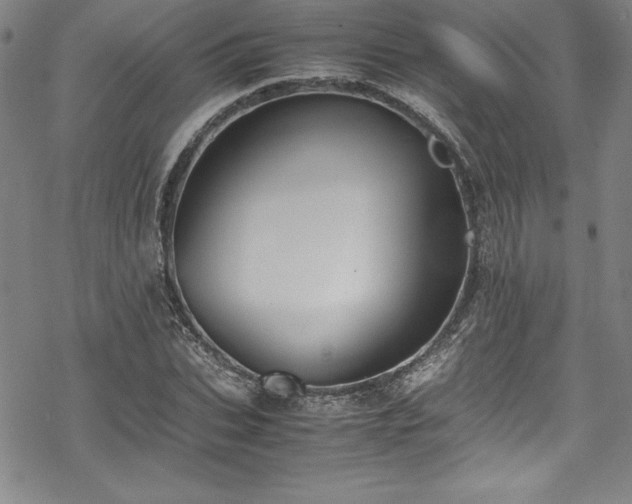 X0000069390927200605121207