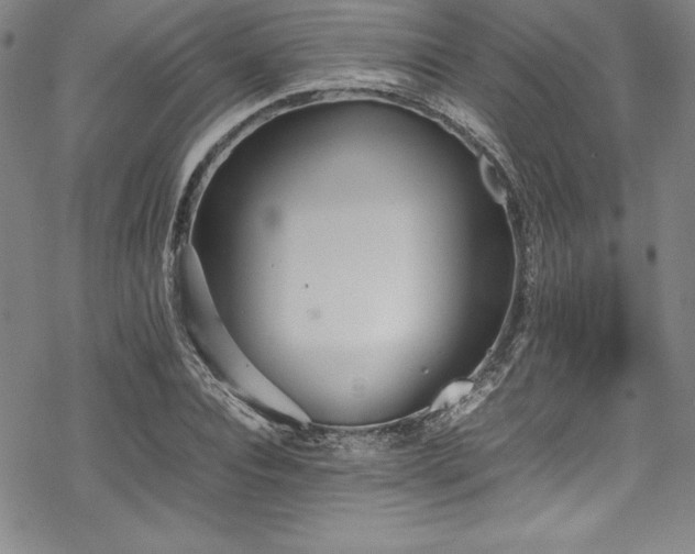 X0000069390928200605121207