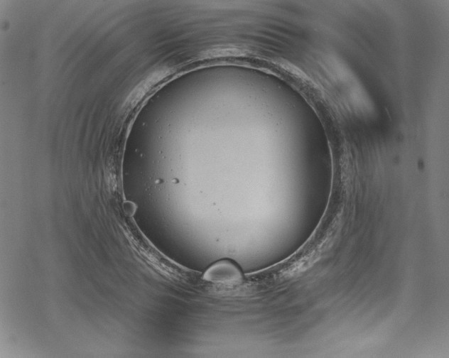 X0000069390929200605121207