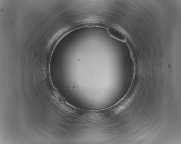 X0000069390930200605121207