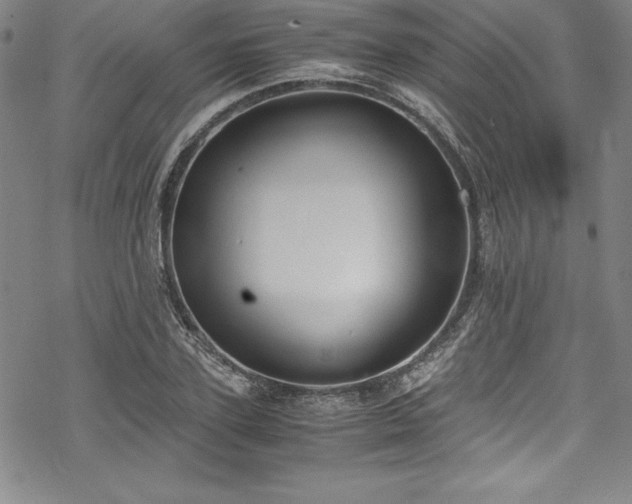 X0000069390931200605121207