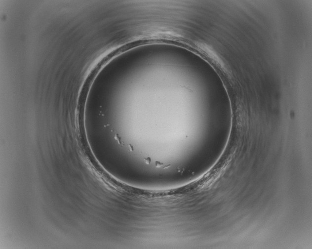 X0000069390932200605121207